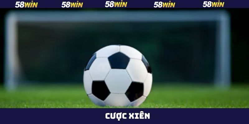 Cược Xiên - Chia Sẻ Tips Vào Tiền Luôn Thắng Từ 58Win 6 Cược Xiên - Chia Sẻ Tips Vào Tiền Luôn Thắng Từ 58Win