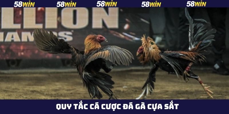 Đá Gà Cựa Sắt - Bí Quyết Chinh Phục Phần Thưởng Tại 58Win 3 Trọng lượng chuẩn của chiến kê