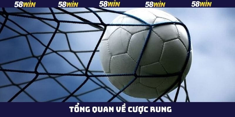 Cược Rung - Kèo Cá Độ Bóng Đá Trực Tuyến Phổ Biến Trên 58Win 2 Thông tin cần hiểu rõ về cược rung